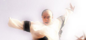Jet Li as Fong Sai-Yuk